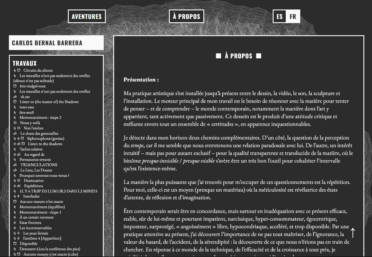 Capture d'écran de la page "à propos" du site Me Pierdo Para Ver
